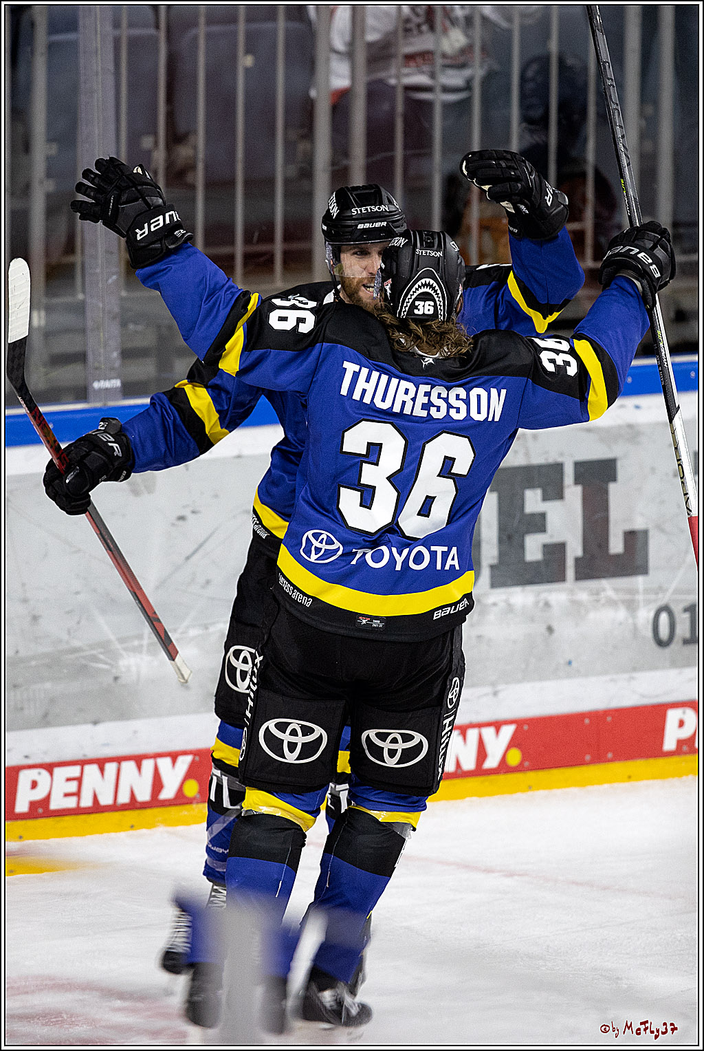 PENNY DEL;  Koelner Haie - Grizzlys Wolfsburg; Koeln, 25.11.2021